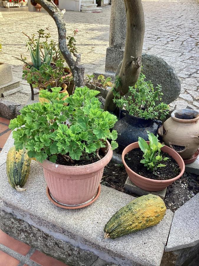 Atico Con Terraza Appartement O Grove Buitenkant foto